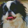 Japanese Chin Dog Diamond Paintings