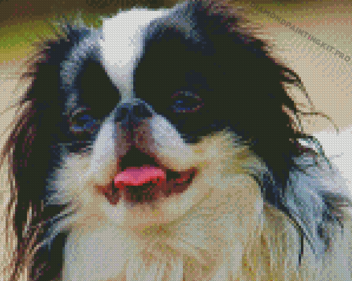 Japanese Chin Dog Diamond Paintings