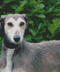 Lurchers Diamond Paintings