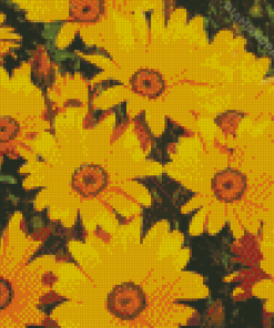 Namaqualand Daisies Diamond Paintings