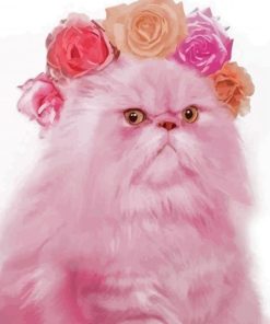 Pink Cat Diamond Paintings