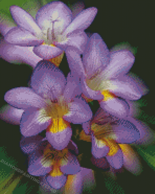 Purple Freesia Flowers Diamond Paintings