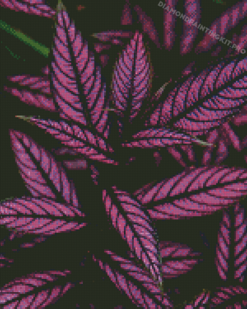 Purple Plant Diamond Paintings