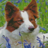 Red And White Border Collie Diamond Paintings