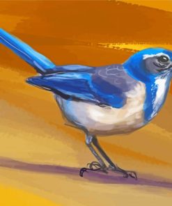 Scrub Jay Diamond Paintings