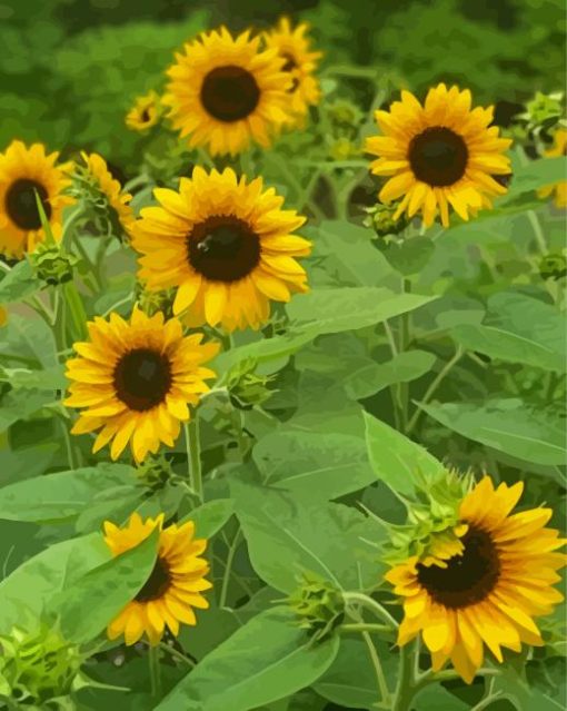 Small Sunflowers Diamond Paintings