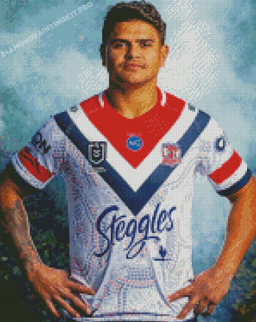 Sydney Roosters Player Diamond Paintings