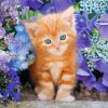Adorable Cat And Flowers Diamond Paintings