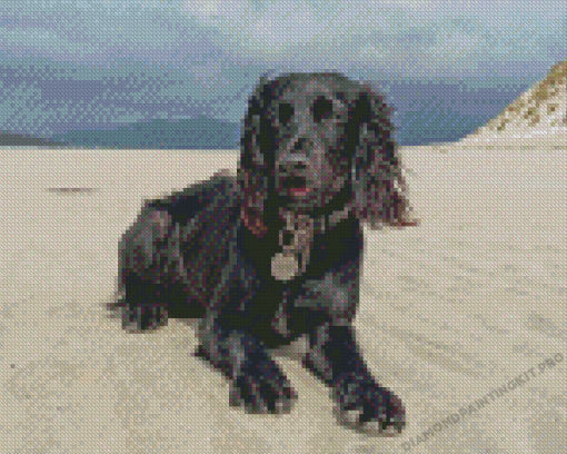 Aesthetic Black Cocker Spaniel Diamond Paintings