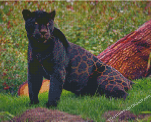 Aesthetic Black Jaguar Diamond Paintings