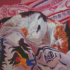 Aesthetic Cat Bed Diamond Paintings