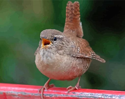 Aesthetic English Wren Diamond Paintings