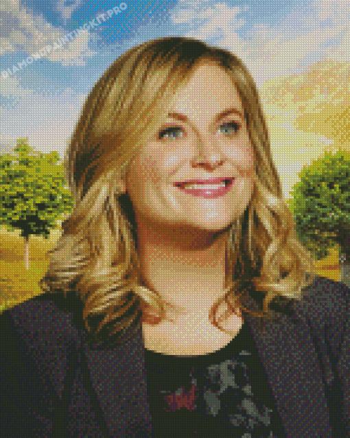 Aesthetic Leslie Knope Diamond Paintings