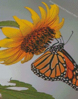 Aesthetic Sunflower Butterfly Diamond Paintings