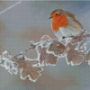 Aesthetic Winter Robin Diamond Paintings