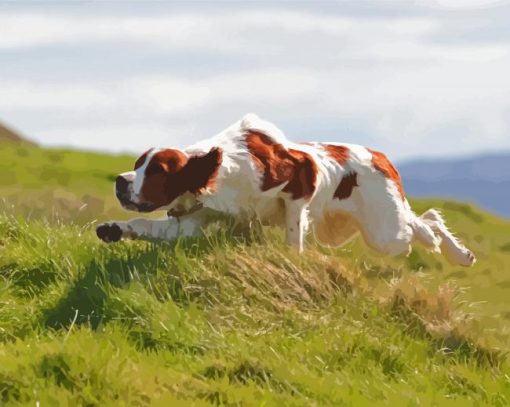 Aesthetic Irish Red White Setter Diamond Paintings