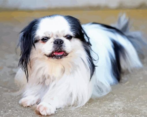 Black And White Japanese Chin Diamond Paintings