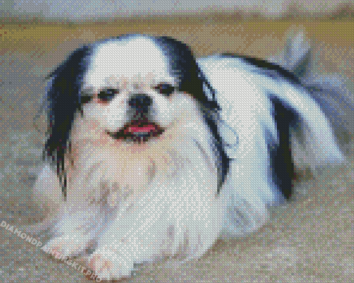 Black And White Japanese Chin Diamond Paintings