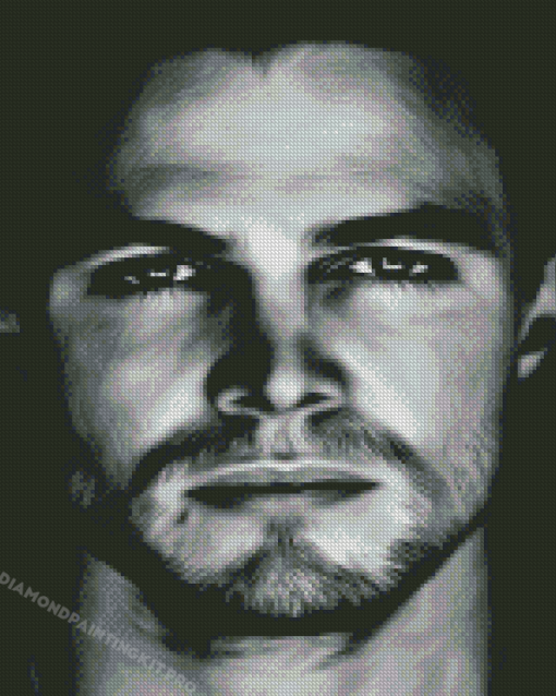 Black And White Stephen Amell Diamond Paintings