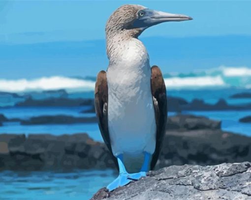 Blue Footed Boobie Diamond Paintings