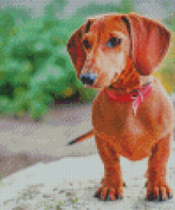 Brown Mini Dachshund Diamond Paintings