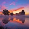 Bushy Park Sunset Landscape Diamond Paintings