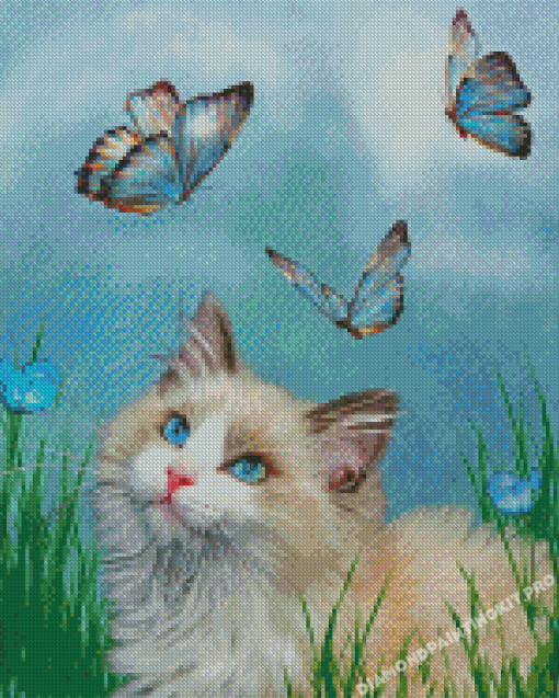 Cat With Blue Butterflies Diamond Paintings