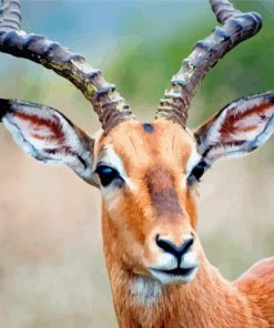 Close Up Wild Impala Animal Diamond Paintings