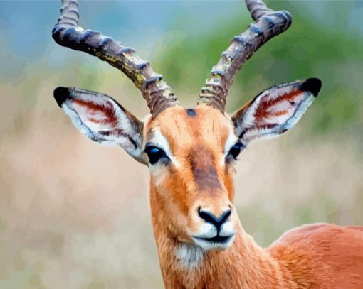 Close Up Wild Impala Animal Diamond Paintings