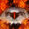 Cool Fire Eagle Diamond Paintings