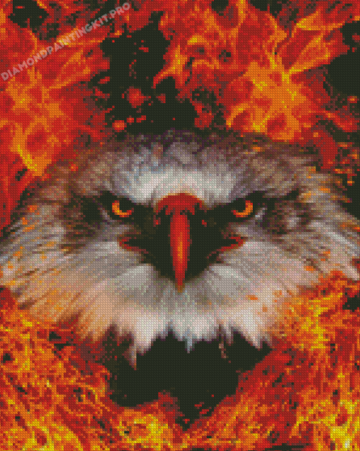 Cool Fire Eagle Diamond Paintings