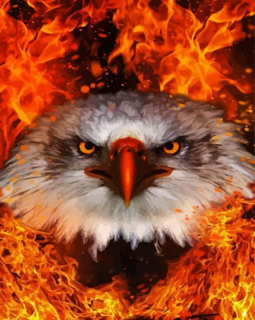 Cool Fire Eagle Diamond Paintings