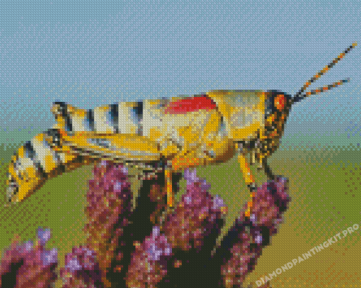 Cool Grasshopper Diamond Paintings