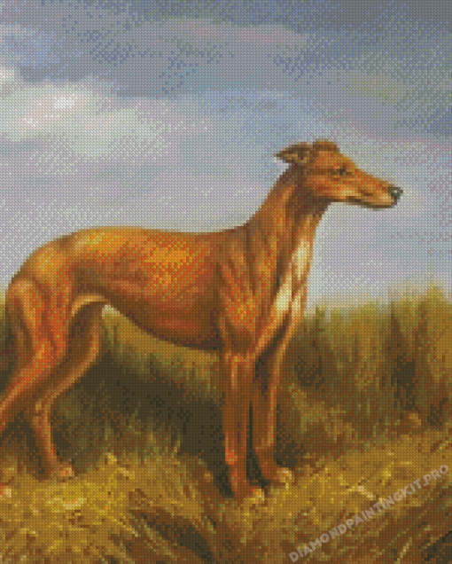 Cool Lurcher Dog Diamond Paintings