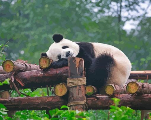 Cool Sleeping Panda Diamond Paintings