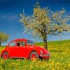 Cool WV Beetle And Cherry Blossom Diamond Paintings