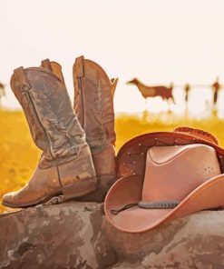 Cowboy Hat And Boots Diamond Paintings