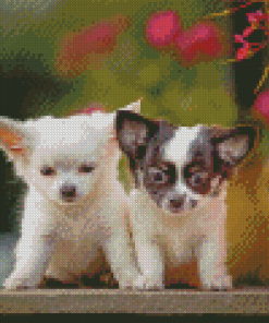 Cute Chihuahua Diamond Paintings