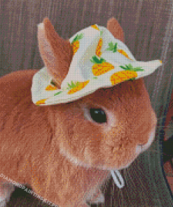 Cute Brown Rabbit With Hat Diamond Paintings