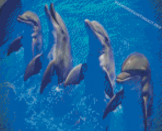 Cute Dolphins Diamond Paintings
