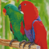 Eclectus Parrots Diamond Paintings