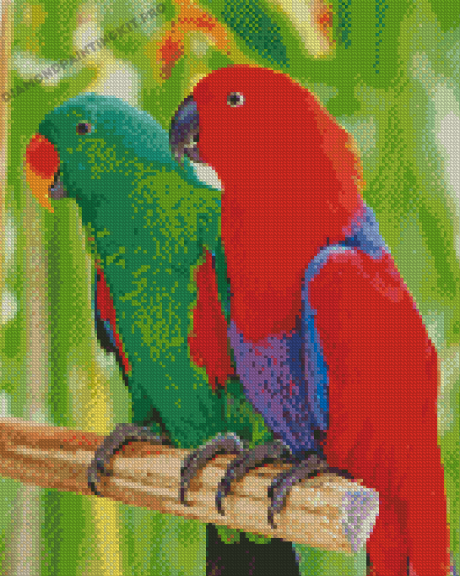 Eclectus Parrots Diamond Paintings