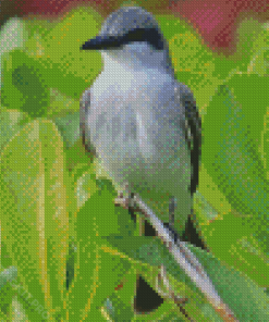 Grey And White Bird On Green Tree Diamond Paintings