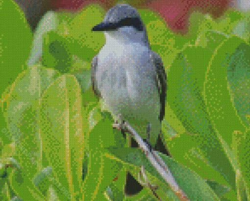 Grey And White Bird On Green Tree Diamond Paintings