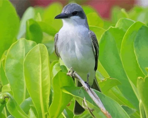 Grey And White Bird On Green Tree Diamond Paintings