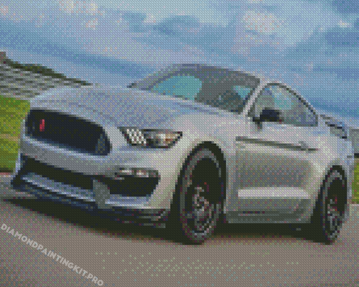 Grey Shelby Mustang Sport Car Diamond Paintings