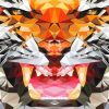 Mad Geometric Tiger Diamond Paintings