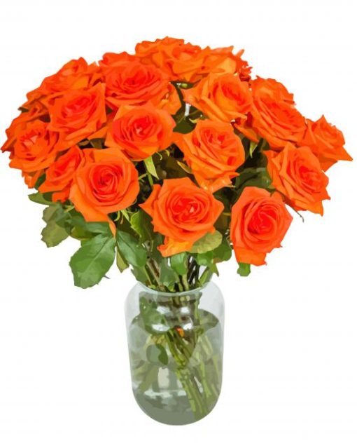 Orange Roses Diamond Paintings