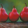 Red Pears In A Row Diamond Paintings