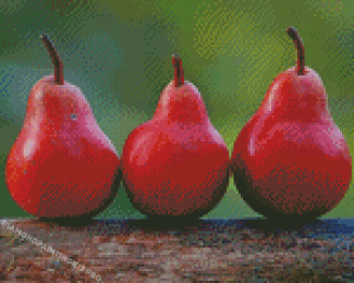 Red Pears In A Row Diamond Paintings